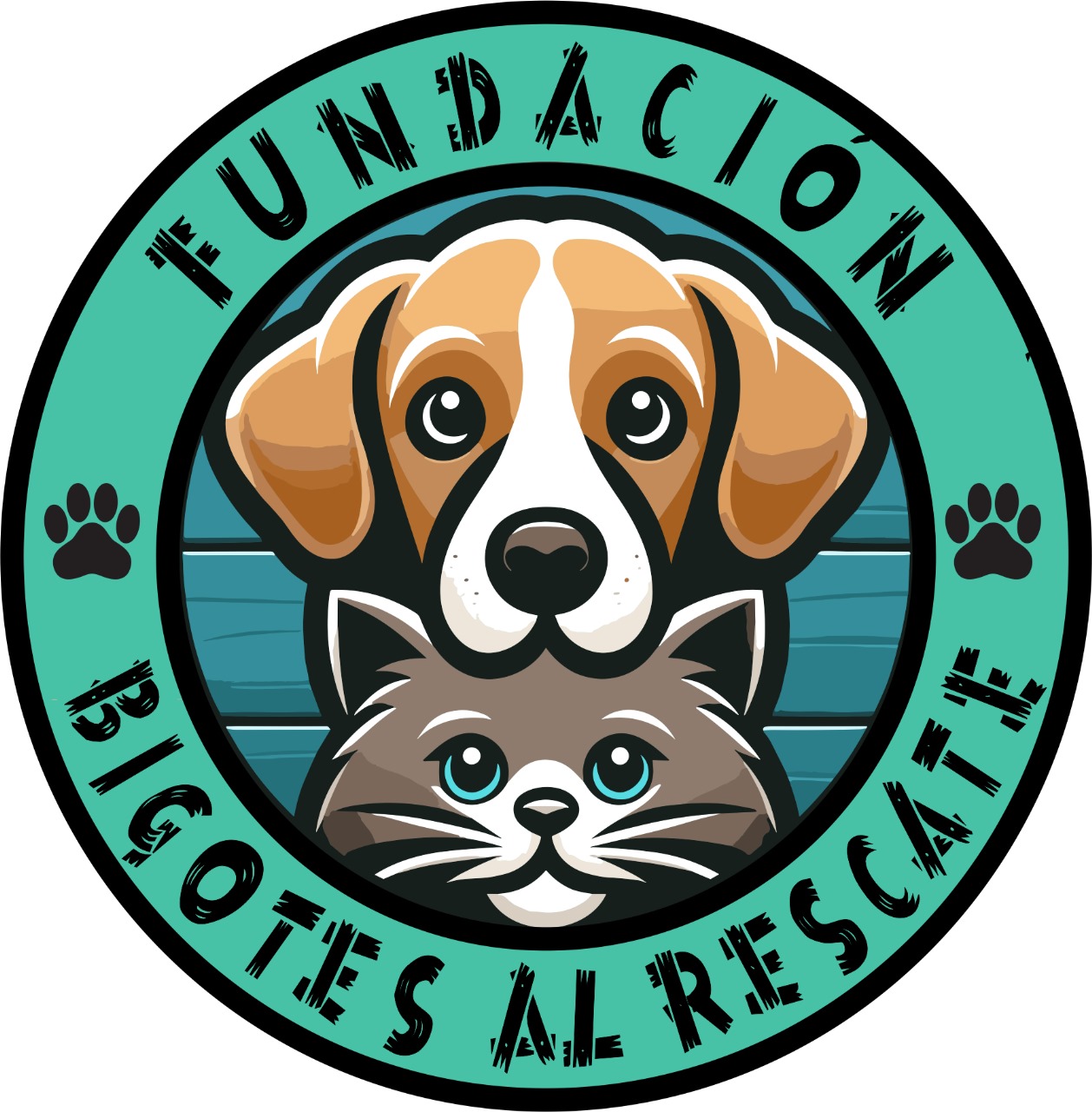 Fundación Bigotes al Rescate